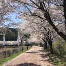 꽃나루학원 이미지