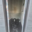 평화주유소 이미지