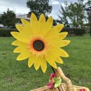 수원-1111 | 수원 행궁동 방화수류정 피크닉 추천 <피크닉데이> 햇님세트 대여 후기☀️