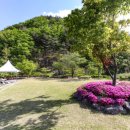 문장대힐링하우스민박 | 상주펜션 속리산펜션 문장대힐링하우스 가족여행 추천 후기