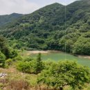 신포동2가010 이미지