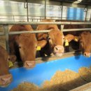 행복2농장 이미지