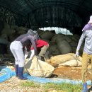 김진석 농장 이미지