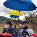 어울림목장 이미지