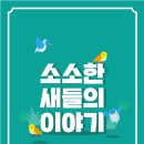 새들기획