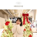 계룡로(수침교-충대병원) | 12월 일기 모음. 크리스마스