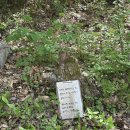 사릉로156번길1 | 2026년 4월 친구들이랑 남양주 봉인사 템플스테이(휴식형) 후기 - 마음 편해지는 곳