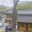 통도사 이미지