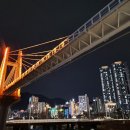 금빛만두
