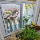 호현로 | 부천 소새울역꽃집 24시간 운영하는 감각적인 플라워맨 후기