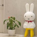 장호선 피부과의원 이미지