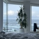 당신의안목 | 강릉 주문진 오션뷰 펜션 당신의안목 솔직후기