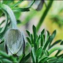 금곡마을 이미지