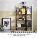 상패트로피공간