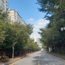 진흥아파트 입구사거리 티스토리