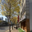 송내초등학교 | 초당쫄면순두부, 순두부찌개가 맛있는 부천상동맛집 송내역맛집 추천