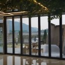 퀘렌시아 애견 이미지