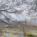 우자매 순대국 이미지