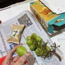 재홍농장 이미지