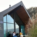 그린그린그라스 (Greengreengrass) 이미지