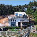 태안 요요키즈풀빌라 캠핑펜션 이미지