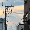 등대아구찜 | 제주 등대 아구찜 한림맛집 내돈내산 포장후기