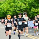 인생의 버킷리스트, 낭만과 서사가 있는 풀코스 마라톤 &#39;러너에서 마라토너가 되기까지&#39;