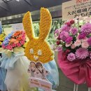 비욘드더월드 | 260523-24) 하스 6th 고베 공연 후기