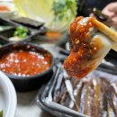 쫑아네 이미지