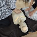 대야초등학교 | 학교보건법 교직원 심폐소생술 응급처치 교육 전국 모음