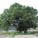 팔야4리 이미지