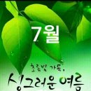 7월에도 건강과행복 가득하세요~♡ 이미지