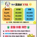 상신리코코네 이미지