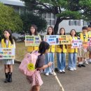 녹수초교 이미지