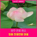 청암마을회관 | 양주 연꽃 명소 장흥 천생연분 마을