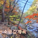 오대산 소금강계곡 이미지