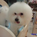 달링동물병원 이미지