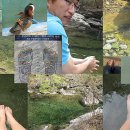 강천산(광주) 이미지
