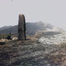엄니대수(奄利大水) 이미지