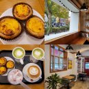 일파라디소 이미지