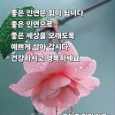 멋진 하루 이미지