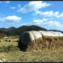 사자성어 - 교훈, 성공 이미지