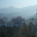 풍호공원 주차장 옆 이미지