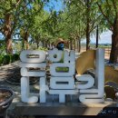 21.은행나무길(경제진흥원) 이미지