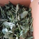 부지깽이 이미지