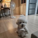 JH한바구니 이미지
