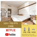 유플러스(U+)모텔 이미지