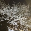 문학산에서 놀다 이미지