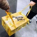 자매부식
