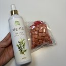 새숲공부방 | 화장실탈취제 추천 피톤치오 편백오일 스프레이, 신발냄새제거 베이크아웃 필수템